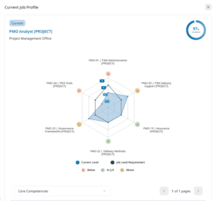 PMO Competency Framework Assessments