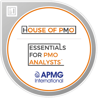 2-Hour Coaching Session – Essentials for PMO Analysts