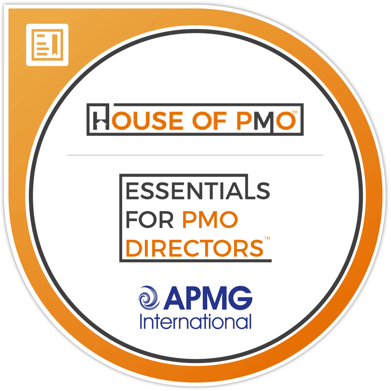 2-Hour Coaching Session – Essentials for PMO Directors